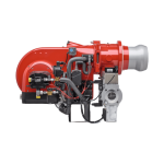 WM-GS20-30 and WM-S10-30 Monarch® Boilers (100–5600 kW)