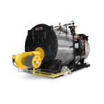 Fulton Boilers- Steam-12-FBS Horizontal Firetube Boiler