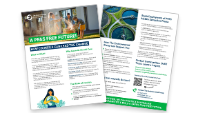 Pfas awareness fact sheet for councils thumbnail