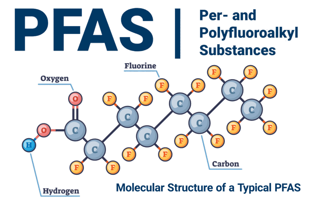 Molecular Structure of a Typical PFAS