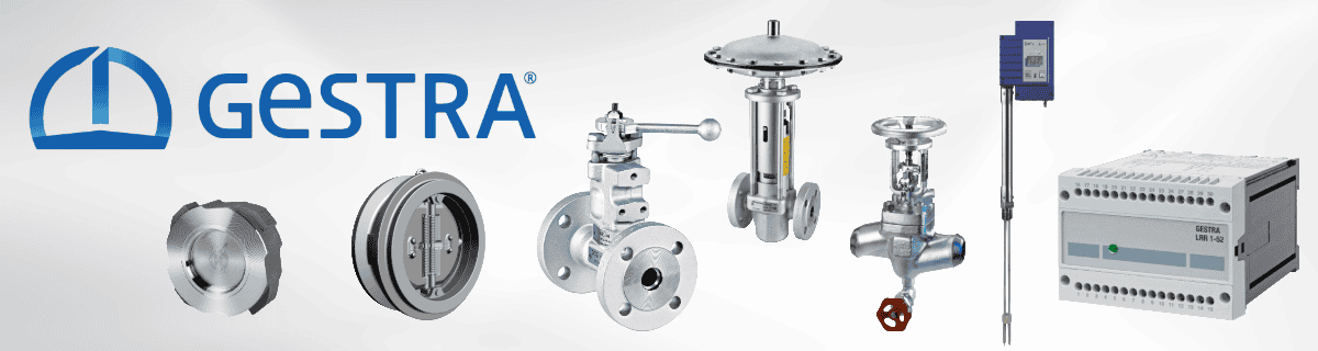 Industrial Steam and Energy Solutions with GESTRA
