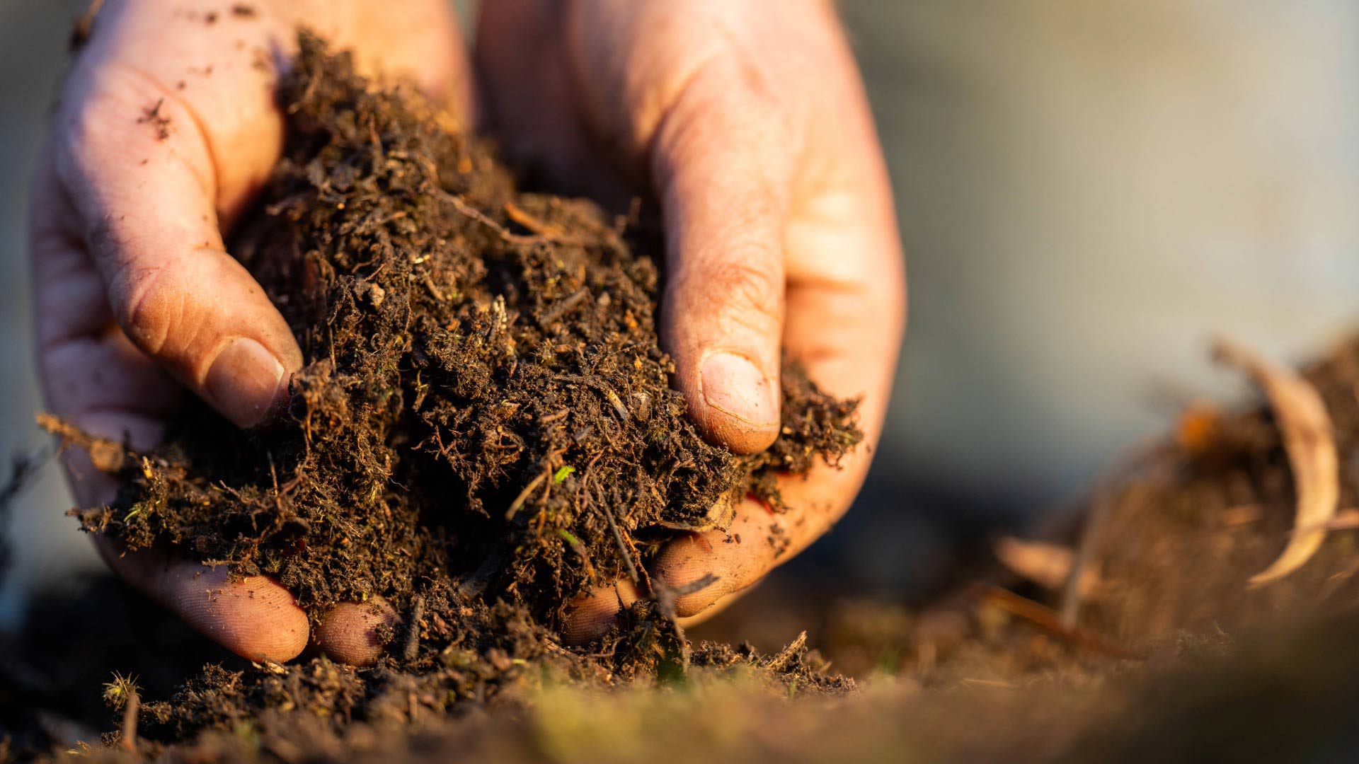 PFAS in Biosolids Why the Sector Can No Longer Ignore the Risk