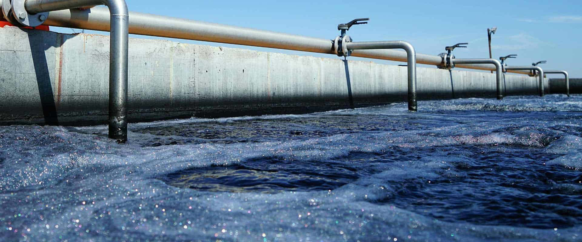 Scaling PFAS Extraction for Biosolids Management