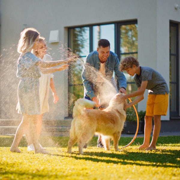 Supporting Councils to Lead a PFAS-Free Future